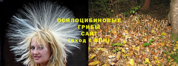 мдпв Балахна