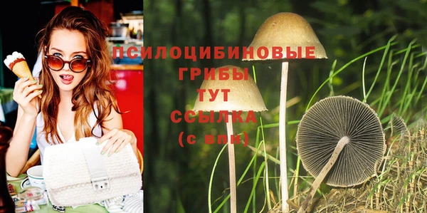 стаф Баксан