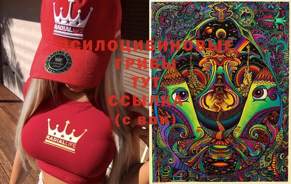 стаф Баксан