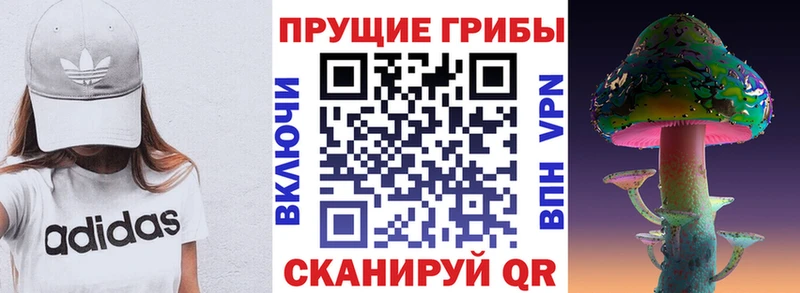 MEGA ТОР  Гдов  Галлюциногенные грибы мицелий 
